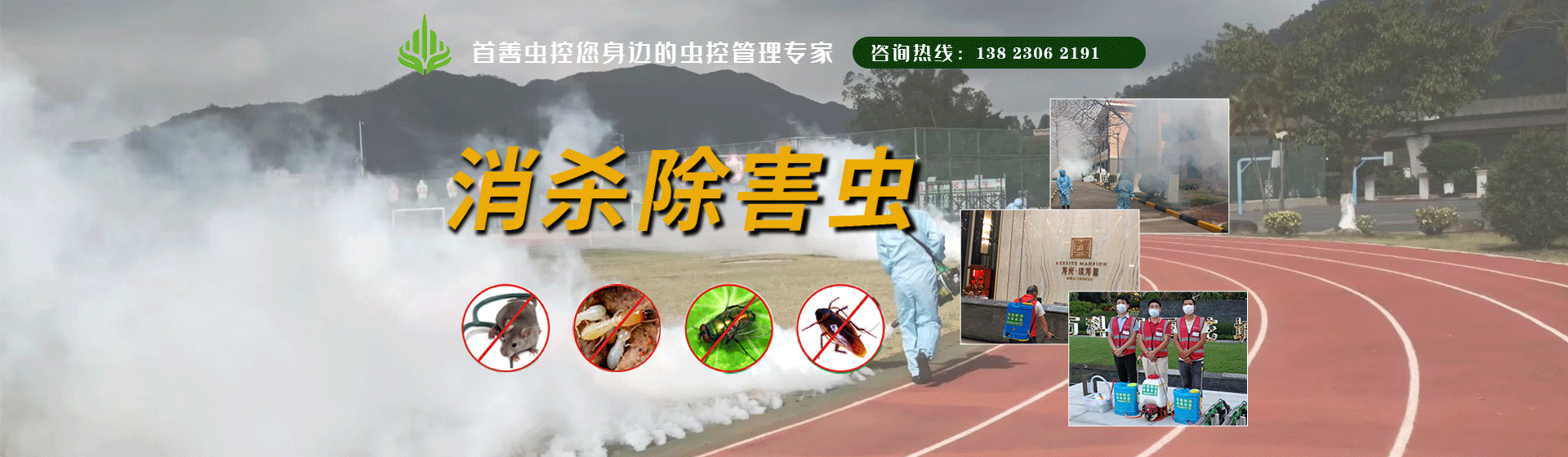 常见的蚊子有哪些 - 新闻中心 - 珠海市首善环境卫生服务有限公司
